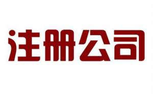 蕪湖集團公司稅收籌劃的原因是什么