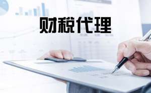 蕪湖一般增值稅納稅人認定標準是什么
