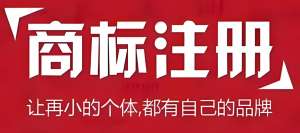 零基礎(chǔ)看蕪湖商標(biāo)注冊：標(biāo)準(zhǔn)條款簡化解讀